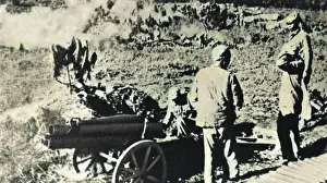 Robert Hunt Library: Chinese field gun