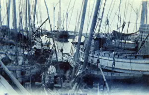 Junks: Chinese Junks moored at Singapore