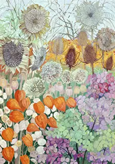 Norma: Chinese Lanterns, Dried Sunflowers etc