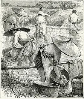 Coolie: Chinese laundrymen 1905