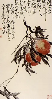 Ripe: Chinese Peaches