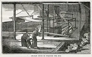 Cocoon: Chinese silk - dyeing and weaving