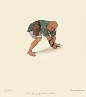 Unable: Chinese Snake Catcher