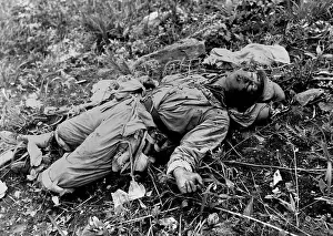 Kari: Chinese soldier, killed by air support of U.S