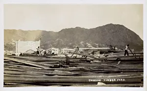Splitting: Chinese Timber Yard