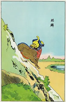 Chinese Unicorn