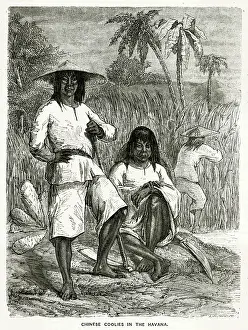 Indentured: Chinese Workers in Cuba