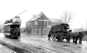 Chingford: Chingford, 1906