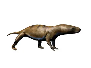 Therapsid: Chiniquodon is a carnivorous therapsid from the Late ?