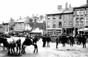 Chippenham: Chippenham Market early 1900s