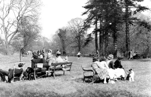 Chippenham: Chippenham, the Park c1955