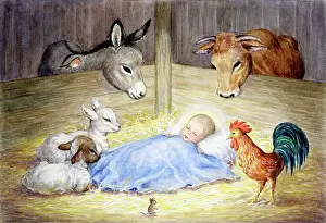 Cockerels: Chirstmas Nativity Scene