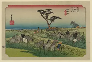 Huddled: Chiryu