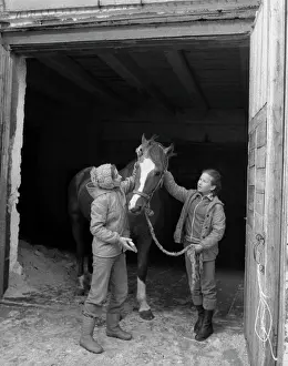 Lena: Chita equestrian school DSO - voluntary sports