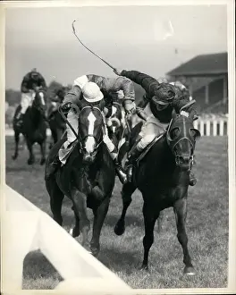 Wining: Chivalry winning Royal Hunt Cup at Ascot