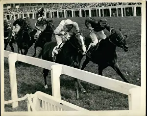 Tudors: Chivalry winning Royal Hunt Cup at Ascot