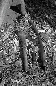 Ethnomusicology: Chiyehas carving tools, Tonga, Andrew Tracey, Internation
