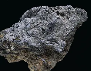 Halide: Chlorargyrite