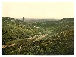Ridges: Chobham Ridges, Camberley, England