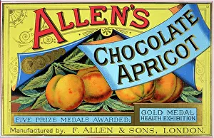 Apricot: Chocolate Apricot poster