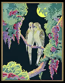 Huddled: Chocolate box design, two budgerigars