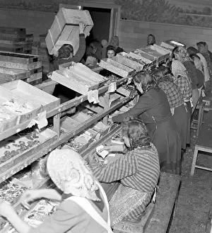 Lovosice: Chocolate and candy production