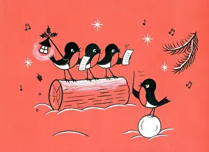 Choirs: Choir of robins singing carols