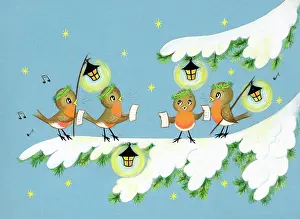 Choirs: Choir of robins singing carols