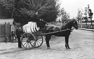 Distributed: Cholera in St.Petersburg, 1908