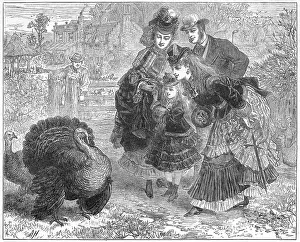 Choosing: CHOOSING A TURKEY