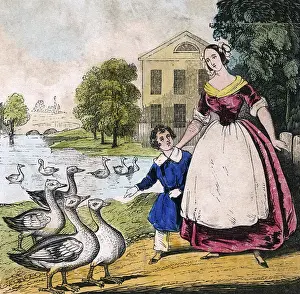 Choosing: CHOOSING XMAS GOOSE