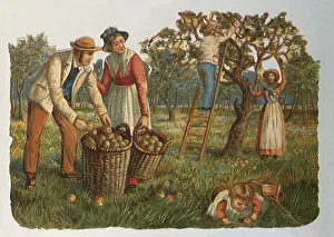 Chopping: Chopping Down Tree