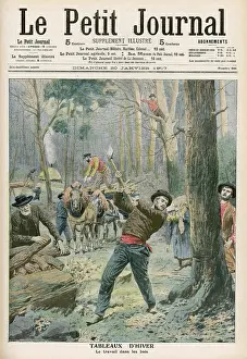 Felling: CHOPPING DOWN TREES
