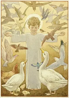 Halos: The Christ child surrounded by animals