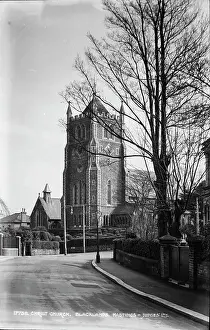 Hedges: Christ Church, Blacklands