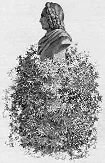1749: CHRIST. COLBJORNSEN