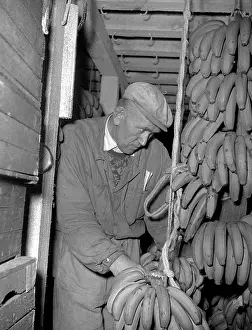 Satisfy: Christmas 1959 - bananas