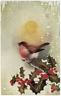 Redbreast: Christmas