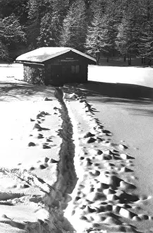 Morteratsch: Christmas