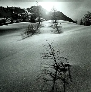 Morteratsch: Christmas