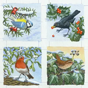 Tags: Christmas birds gift tags