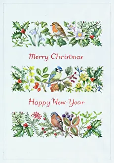 Chaffinches: Christmas Birds and Plants