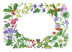 Cyclamen: Christmas border with holly, mistletoe, ivy, etc
