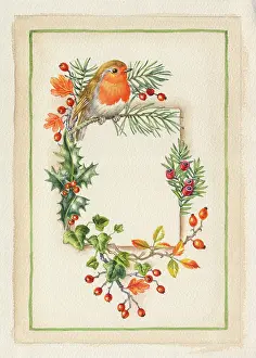 Margery: Christmas Border ? with robin
