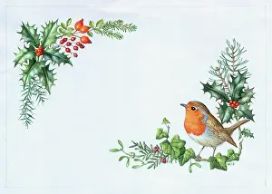 Juniper: Christmas Border with Robin, Holly, Hips etc