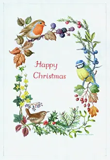 Wrens: Christmas Border with robin, wren, blue tit