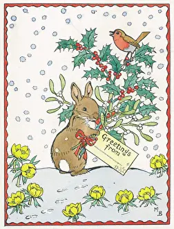 Christmas bunny by Molly Brett