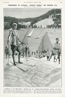 Wallcousins: Christmas in Canada: White Wings on Winter Ice