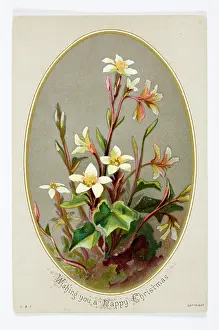 Hildesheimer: Christmas card