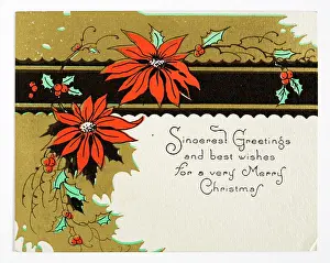 Poinsettia: Christmas card